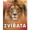 Velký obrazový průvodce - Zvířata