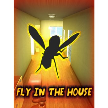 Fly In The House