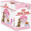 Royal Canin FHN Kitten Sterilised v želé 12X85g