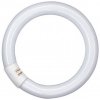 OSRAM Kruhová žiarivka T9 G10Q 40W 4000K (840) 4050300014845