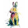 ZUTY Maľovanie podľa čísel FAREBNÝ KRÁLIK Rámovanie vypnuté plátno na rám Rozmer 80 x 100 cm