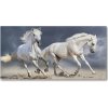 Moderný foto-obraz akryl na stenu Biele kone pláž 100x50 cm