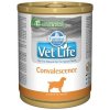 Farmina Vet Life dog convalescence konzerva 300 g