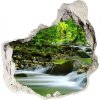 Fototapeta diera na stenu Horského potoka 75x75 cm