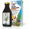 SALUS Floradix kindervital fruity 250 ml