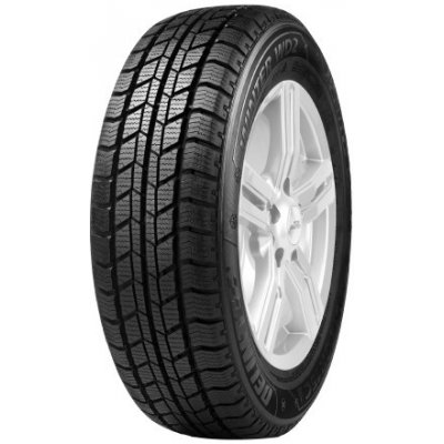 Delinte WD2 205/65 R16 107T