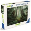 RAVENSBURGER V lese 1000 dielov