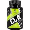 Swedish Supplements CLA 90 kapsúl