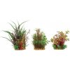 Zolux sada Small A 26 cm 6 ks