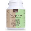 Serafin Polyporus huba 90 kapsúl - 40% polysacharidov so skorocelom