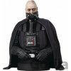 Gentle Giant Star Wars Episode VI Bust Darth Vader unhelmeted 15 cm