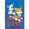 Carbotex Detský uteráčik Ježko Sonic 235025 Bavlna 30x50 cm