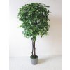 Umelý strom- Fikus Benjamin 180 cm