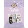 CurePink: | Set nálepek na elektroniku Pusheen: Momenty (set 17 x 23,5 x 1,5 cm) [GDGE039]