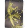 Ceduľa Sexi žena - auto 30cm x 20cm Plechová tabuľa