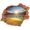 Fotoobraz diera na stenu Stadium poľsko 90x70 cm