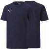 Puma teamGOAL 23 656709