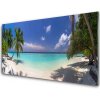 Nástenný panel More pláž palma krajina 100x50 cm