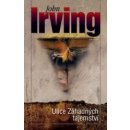 John Irving - Ulice Záhadných tajemství