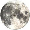 PopSockets PopGrip Moon 800454