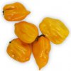 Paprika - chili papričky Habanero žlté