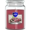 Bispol Aura Maxi Chocolate - Cherry 500 g