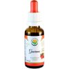 Salvia Paradise Guarana AF tinktura 30 ml