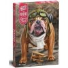 Cherry Pazzi Puzzle - Bon voyage! 1000 dielikov