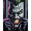 ZUTY Maľovanie podľa čísel - JOKER ZA MREŽAMI (BATMAN) Rámovanie: bez rámu a bez vypnutia plátna, Rozmer: 40x50 cm