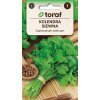 Koriander siaty semená bylín 2g Toraf
