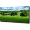 Foto obraz na plátne do obývačky Zelené pahorky 100x50 cm