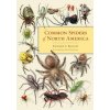 Common Spiders of North America (Richard A. Bradley)(Brožovaná)