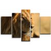 Sablio Obraz - 5-dílný Lev 3 - 125x90 cm