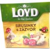 Loyd čaj Brusnice a zázvor 20 x 2 g