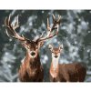 Diamondi Diamantové maľovanie - UŠĽACHTILÝ JELEŇ A LAŇ V ZASNEŽENOM LESE Rámovanie: vypnuté plátno na rám, Rozmer: 40x50 cm