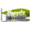 Sablio Obraz Biela orchidea - 110x50 cm