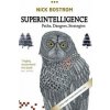 Superintelligence