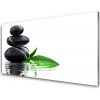 Nástenný panel Kamene listy voda umenie 100x50 cm