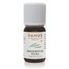 Hanus Kosodrevinová silica 10 ml
