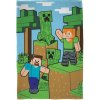 Deka fleecová Minecraft 100x150 cm