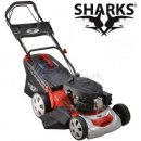 Sharks SH 2650 (SHK429)