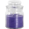 Provence Lavender 70 g