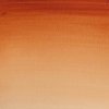 Winsor & Newton Akvarelové farby Cotman 21ml Vandyke brown