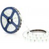 ecoLIGHT - 5m LED pásik - 4,8W, 60xSMD, 8mm, IP20, 12V DC - Neutrálna biela / 4000°K
