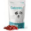 Contipro Geloren Dog kĺbová výživa S-M 60 ks