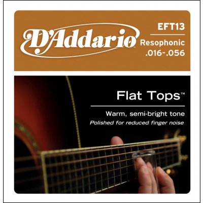 D'Addario EFT 13