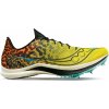 Saucony ENDORPHIN CHEETAH s29095-85