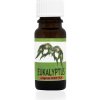 Rentex Esenciálny olej Eukalyptus 10 ml