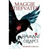 Havraní chlapci - Maggie Stiefvater