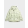 4F 4FAW23TDJAF231 LIGHT GREEN
